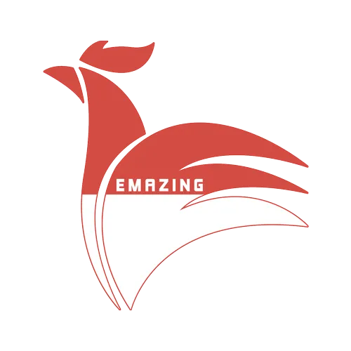 logo-emazing_result